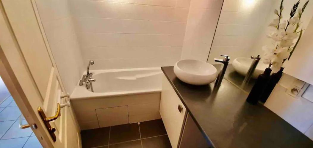Tichnich Apartement - 2 bedrooms Annemasse Buitenkant foto