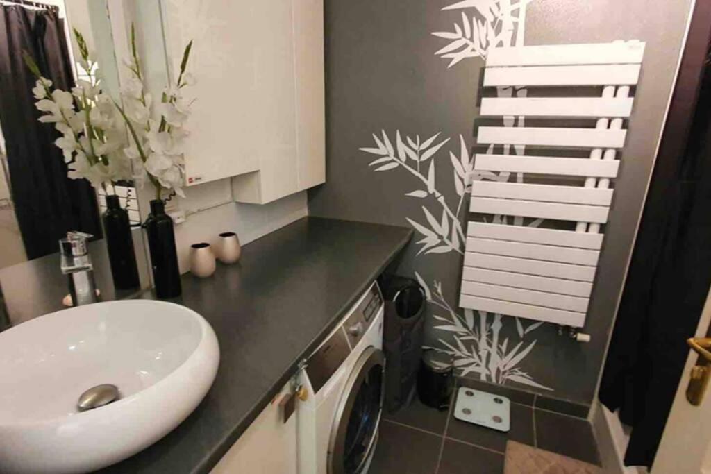 Tichnich Apartement - 2 bedrooms Annemasse Buitenkant foto